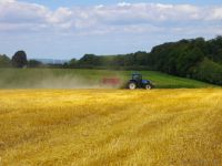 Sommerfest Baumberge 2010 164